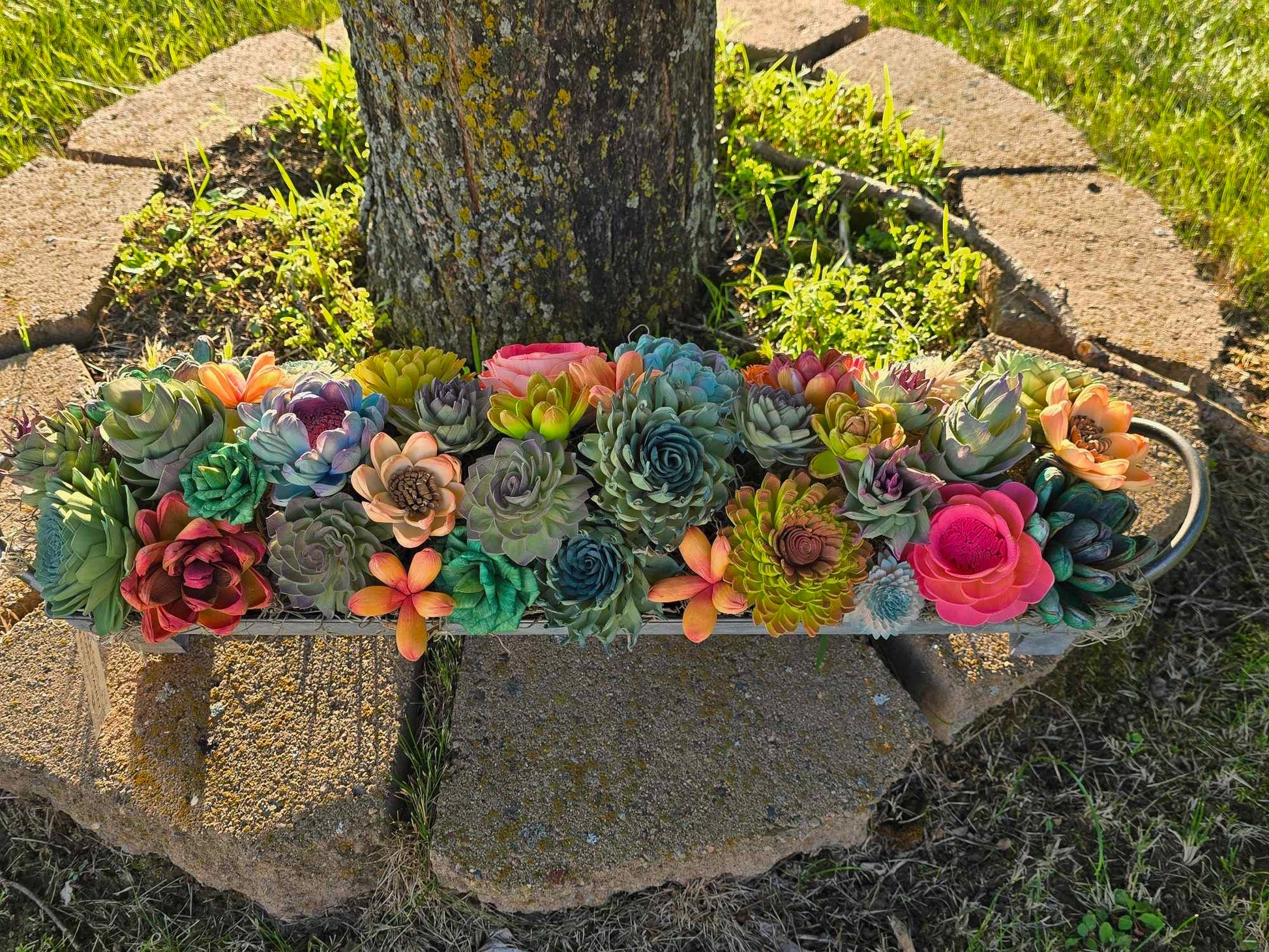 succulents in trough 18" Galvanized Succulent Trough – Sola Eclipse